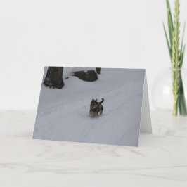 Cartão De Festividades Dashing determined puppy card