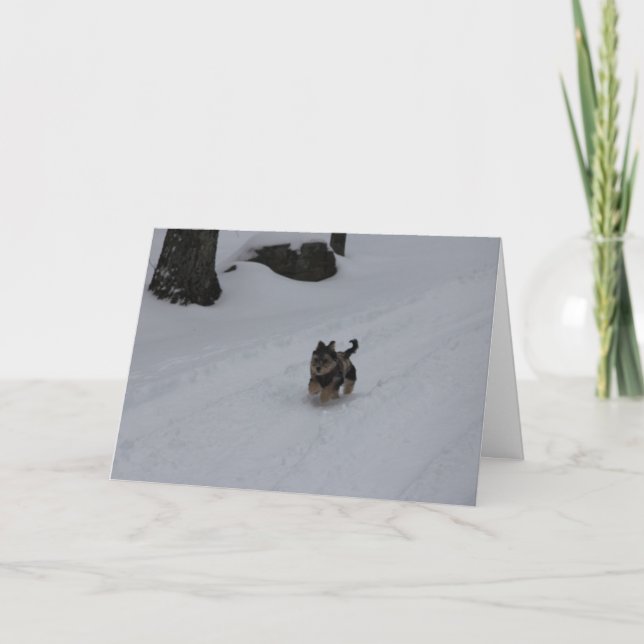 Cartão De Festividades Dashing determined puppy card (Frente)