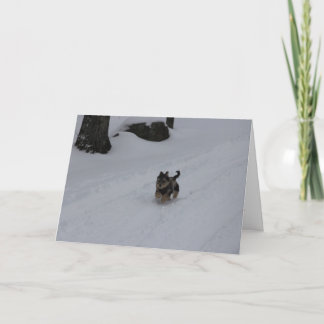 Cartão De Festividades Dashing determined puppy card PERSONALIZED