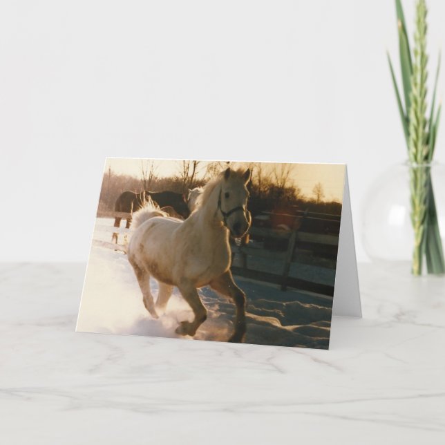 Cartão De Festividades Dashing through the snow . . . (Frente)