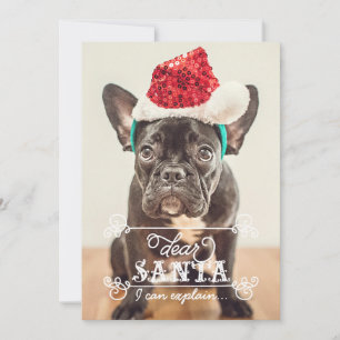 Cartão De Festividades Dear Santa We Can Explain Holidays Photo Cards