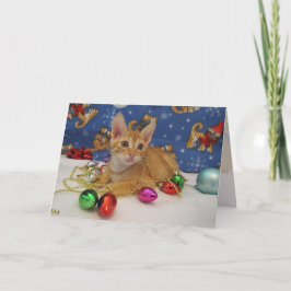 Cartão De Festividades Decoração de Férias do Jasper ( Cat / Kitten)