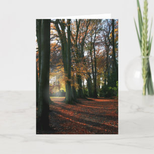 Cartão De Festividades Deep In The Heart Greetings & Note Card