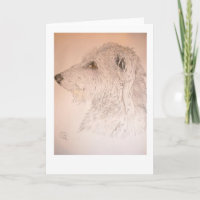Deerhound