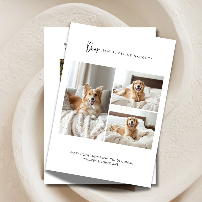 Cartão De Festividades Definir Pet De Natal De Cão Fotográfico Engraçado  (Criador carregado)