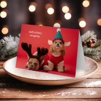 Definitivamente Foto de Animalzinho Travesso Natal