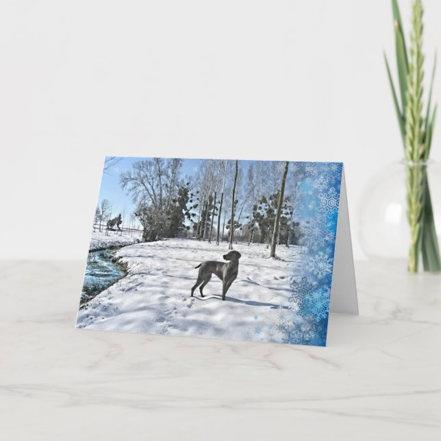 Cartão De Festividades Deixais lhe para nevar, deixe-o nevar, deixe-o (Frente)