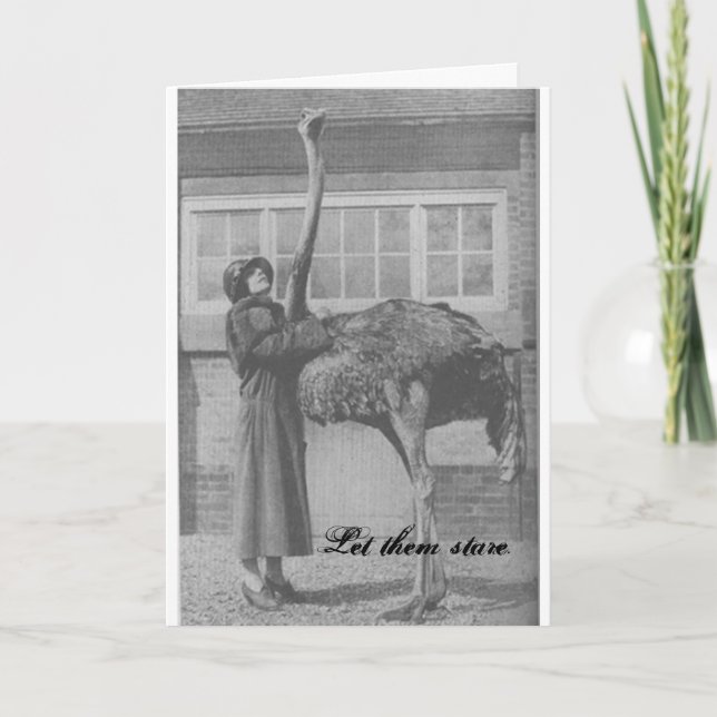 Cartão De Festividades Deixe-os olhar (Frente)