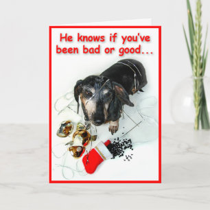 Cartão De Festividades Delinquent Dachshund Christmas Card