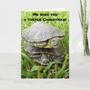 Cartão De Festividades Desejamos-lhe um Natal de tartaruga!