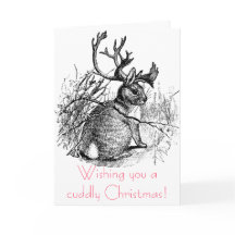 Desejando-lhe um Natal fofinho!