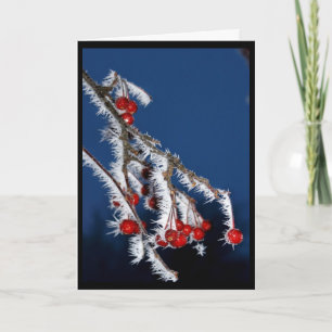 Cartão De Festividades Desejo-Te Um Feliz Natal Berry!