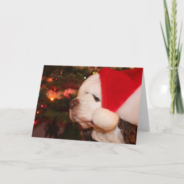 Cartão De Festividades Desejos de Feriado (Frente)