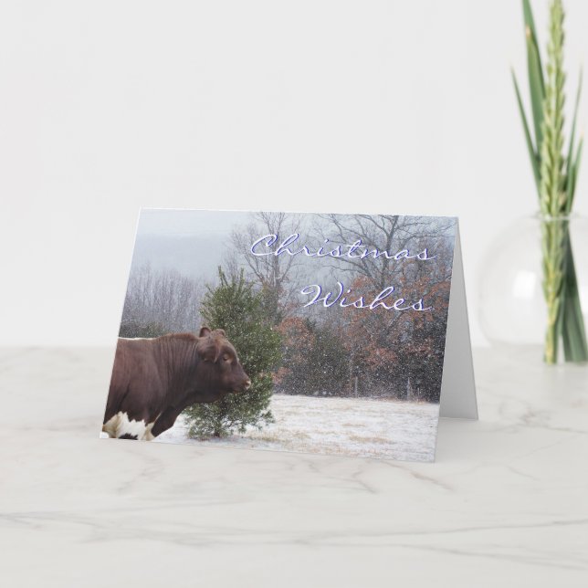 Cartão De Festividades Desejos de Natal em Neve personalizados (Frente)