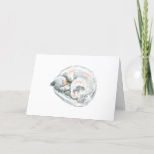 Cartão De Festividades Desenho De Gato Dormindo