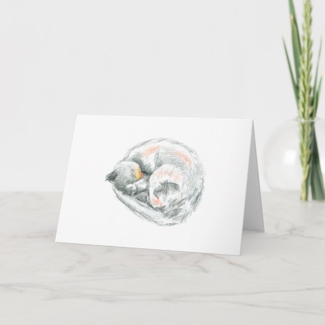 Cartão De Festividades Desenho De Gato Dormindo (Frente)