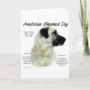 Cartão De Festividades Design anatólio da história do cão de pastor