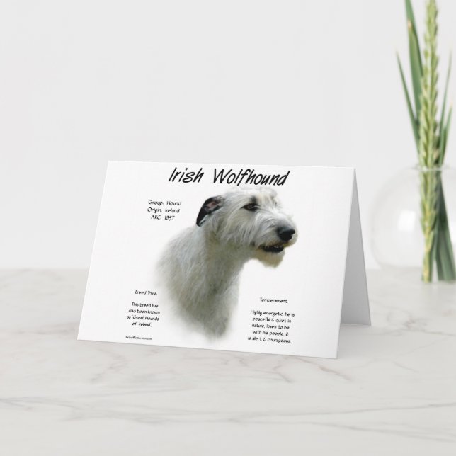 Cartão De Festividades Design (branco) da história do Wolfhound irlandês (Frente)