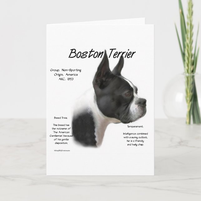 Cartão De Festividades Design de História de Boston Terrier (Frente)