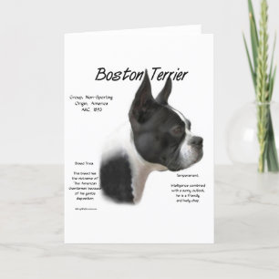 Cartão De Festividades Design de História de Boston Terrier