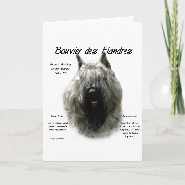 Cartão De Festividades Design de História de Bouvier des Flandres (Frente)