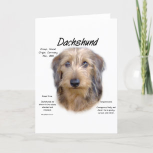 Cartão De Festividades Design de História do Dachshund (wirehair)