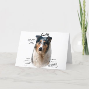 Cartão De Festividades Design de Histórico Collie (mesclagem suave)