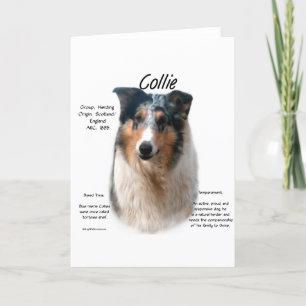 Cartão De Festividades Design de Histórico Collie (mesclagem suave)