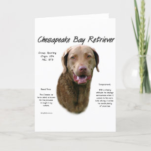 Cartão De Festividades Design de Histórico do Retriever da Baía de Chesap