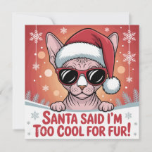 Design de Natal de Gato Sphynx Legal com Papai Noe