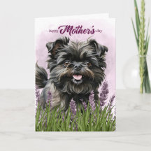 Dia das Mães Affenpinscher Cachorro em Roxo