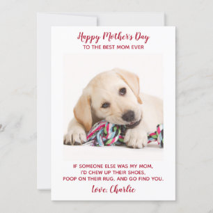 Cartão De Festividades Dia de as mães de Foto Personalizada por Cachorro