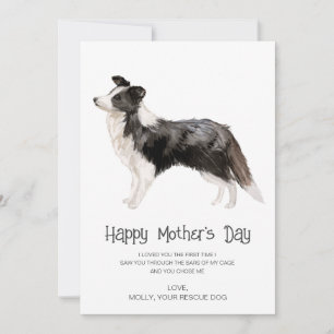 Cartão De Festividades Dia de as mães de pintura de cães