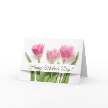 Dia de as mães de Tulipas Rosa