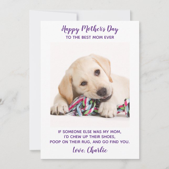 Cartão De Festividades Dia de as mães Engraçado Personalizado Pet Photo D (Frente)
