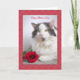 Cartão De Festividades Dia de as mães Feliz Do Gatinho De Gato Com Rosa