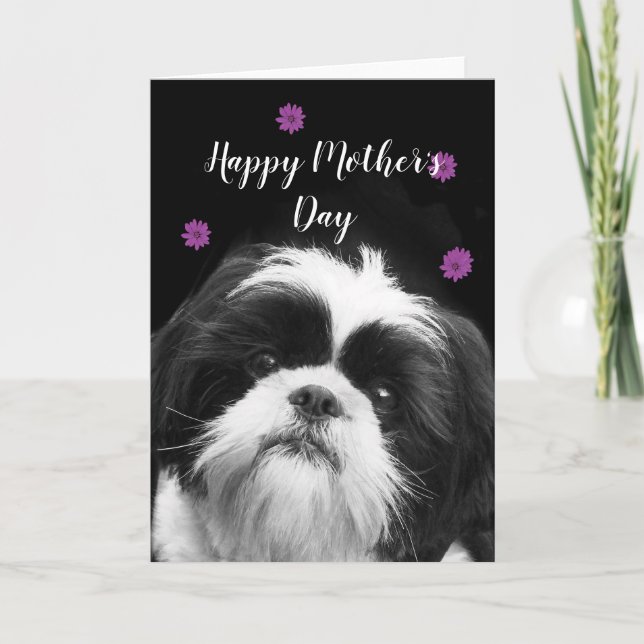 Cartão De Festividades Dia de as mães Feliz, Shih Tzu. (Frente)