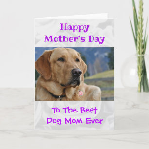 Cartão De Festividades dia de as mães Foto Cachorro Mãe Melhor Pet do M