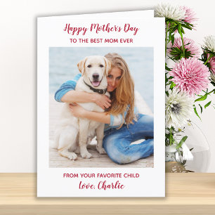 Cartão De Festividades  Dia de as mães Personalizado de Cães Fotográfi