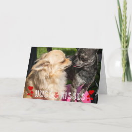 Cartão De Festividades Dia de os namorados Cachorro Cachorro Fotos Abraço