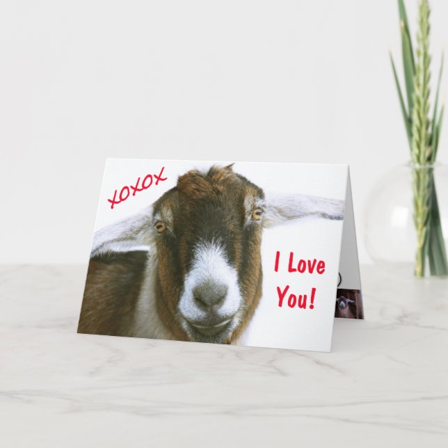 Cartão De Festividades Dia de os namorados Engraçado (Frente)