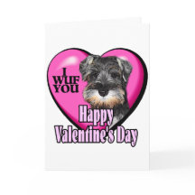 Dia de os namorados Miniatura Schnauzer