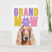 Dia dos Avós GranMAW Afghan Hound Grand DOG