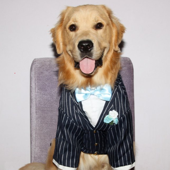 Cartão De Festividades Dia dos Pais do ouro Retriever Bem Adequado (Criador carregado)