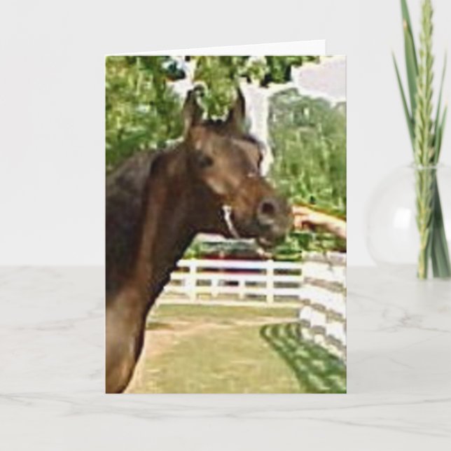 Cartão De Festividades Diadhems Aziza (Frente)