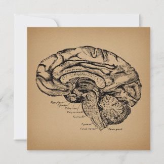Cartão De Festividades Diagrama Cerebral Antiquado Anatomia Médica