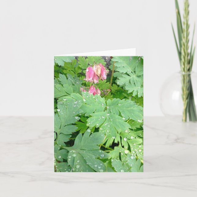 Cartão De Festividades Dicentra spectabilis (Frente)