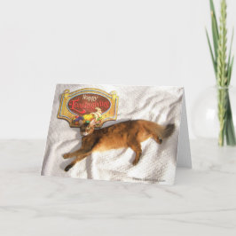 Cartão De Festividades Dissipe a placa de ação de graças da supermodelo