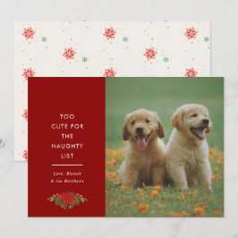 Cartão De Festividades Dito Fofo Mínimo Pet Foto Natal