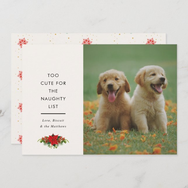 Cartão De Festividades Dito Fofo Mínimo Pet Foto Natal (Frente/Verso)